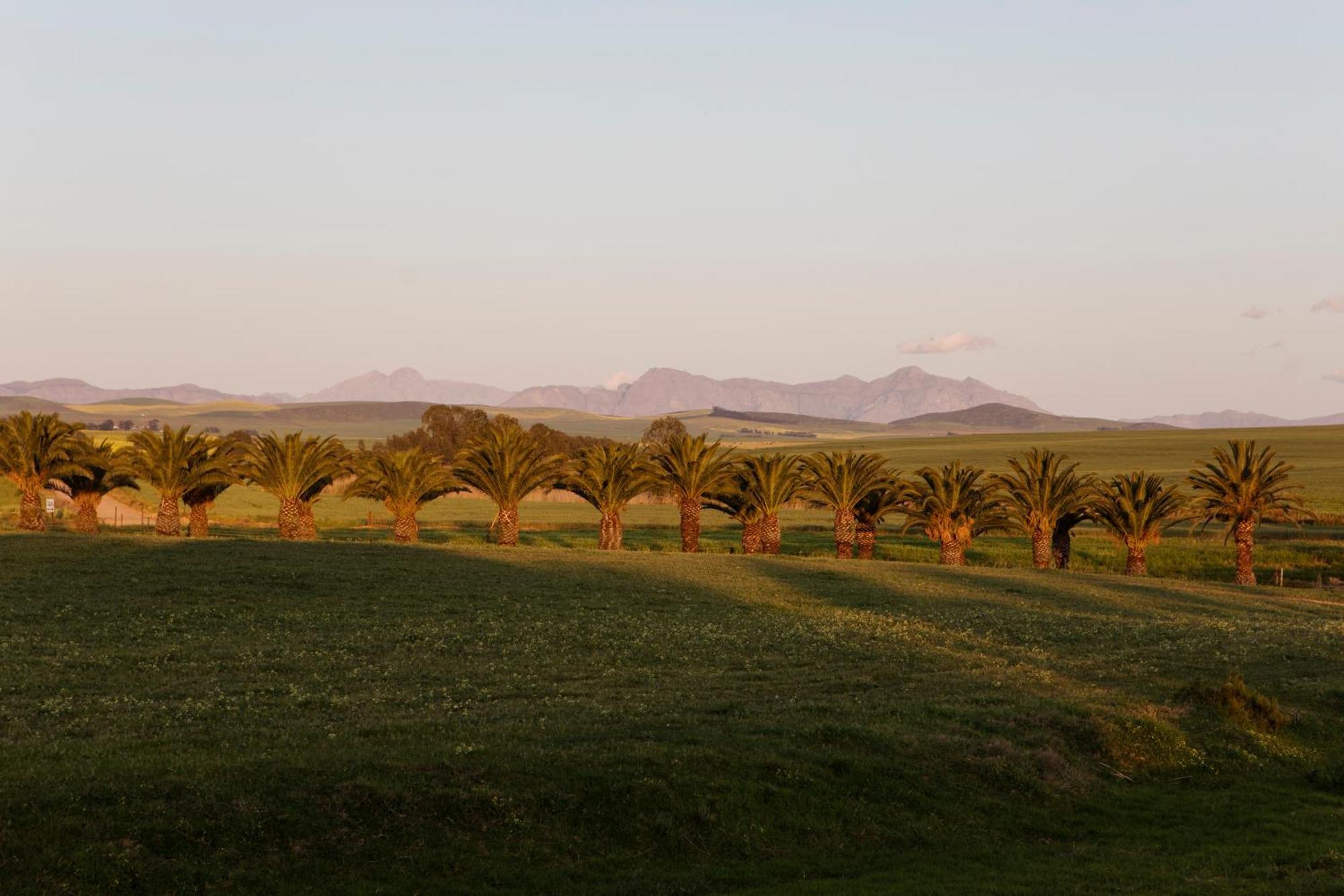 Rustfontein Guest Farm And Venue Malmesbury