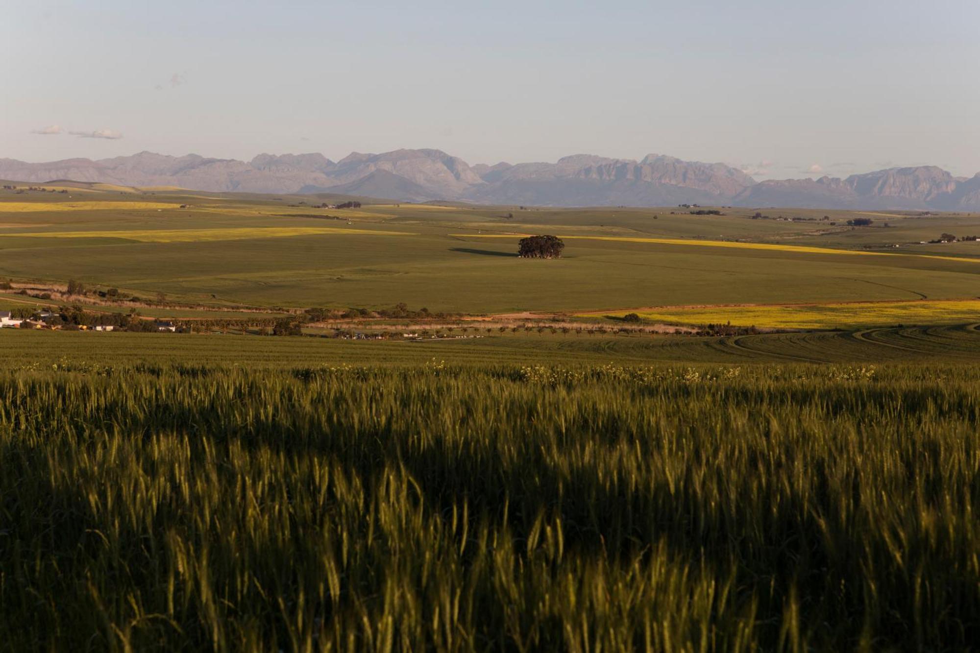 Villa Rustfontein Guest Farm And Venue